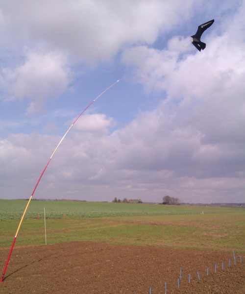 cometa scarybird uso